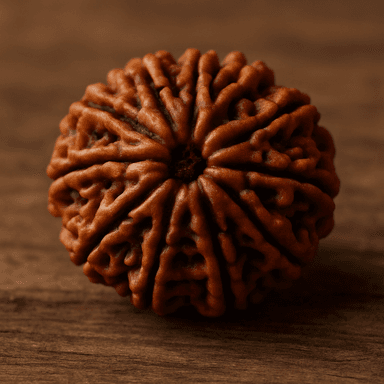Rudraksha